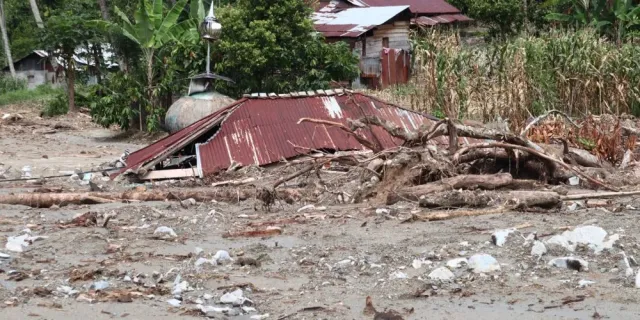 Peringatan dari Sumatera: Masa Depan Kalimantan di Tengah Laju Deforestasi