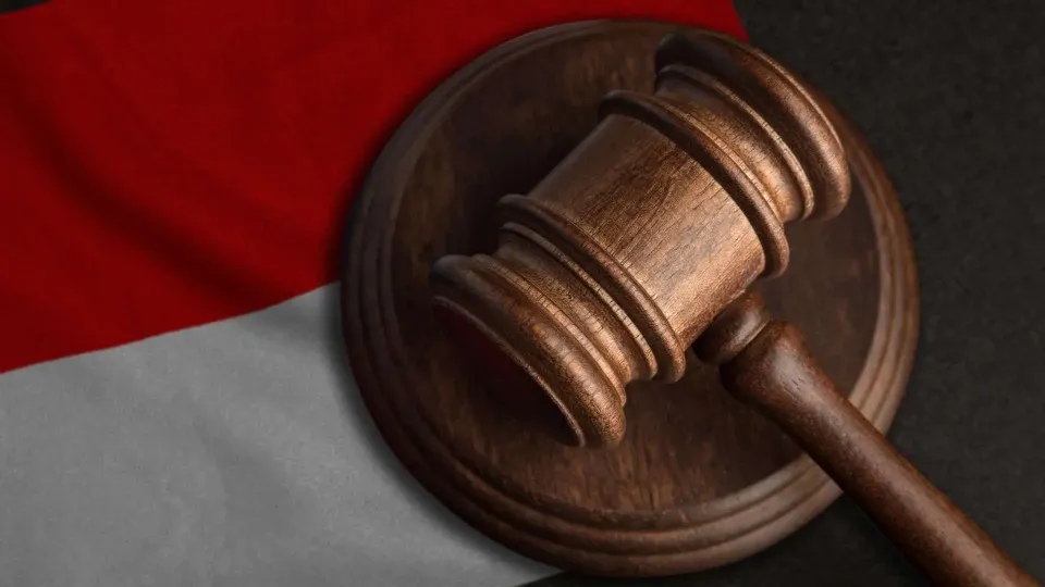 Understanding the Basic Concepts of Constitutional Law in Indonesia