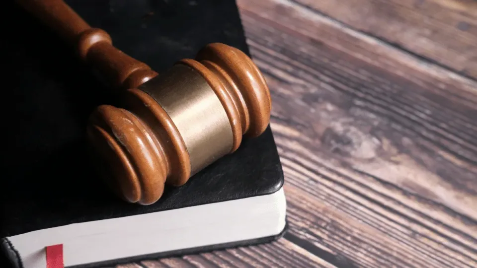 2 Testing Authorities: Judicial Review and Legislative Review in Indonesia