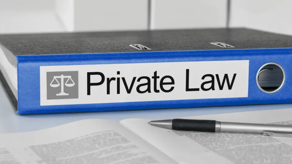 Representation in Civil Cases