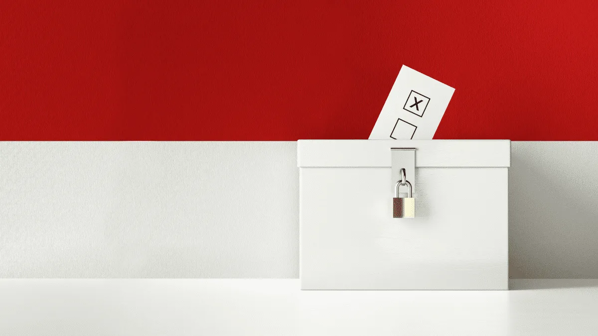 Understanding the Election System