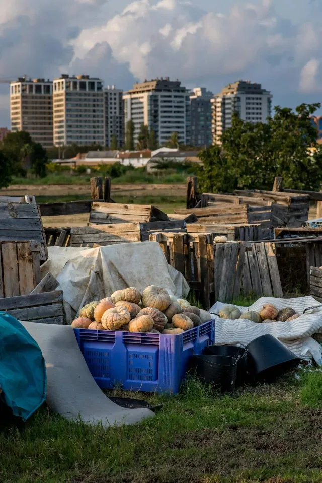 Sawah Jadi Mall, Hukum Jadi Alat : Siapa yang Bertanggung Jawab atas Alih Fungsi Lahan?
