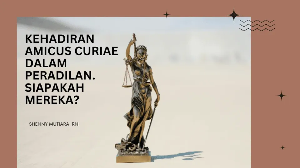 The Presence of Amicus Curiae in the judiciary, Who are they?