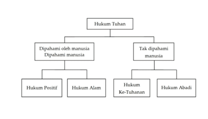 Konsepsi Teori Hukum dalam Nuansa Filsafat Hukum