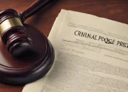 Purpose, Function and Nature of Criminal Procedure