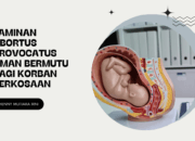 Jaminan Abortus Provocatus Aman Bermutu Bagi Korban Perkosaan Guna Menurunkan Maternal Mortality Rate”